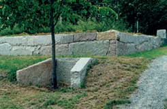 Stenmur i granit med trädfålla