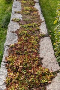 Minneslund i granit